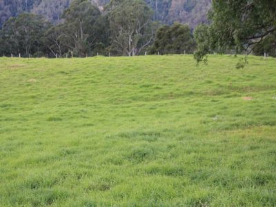 368 Bunkers Hill Road, Kangaroo Valley