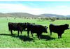 1370 Mid Western Highway, Evans Plains