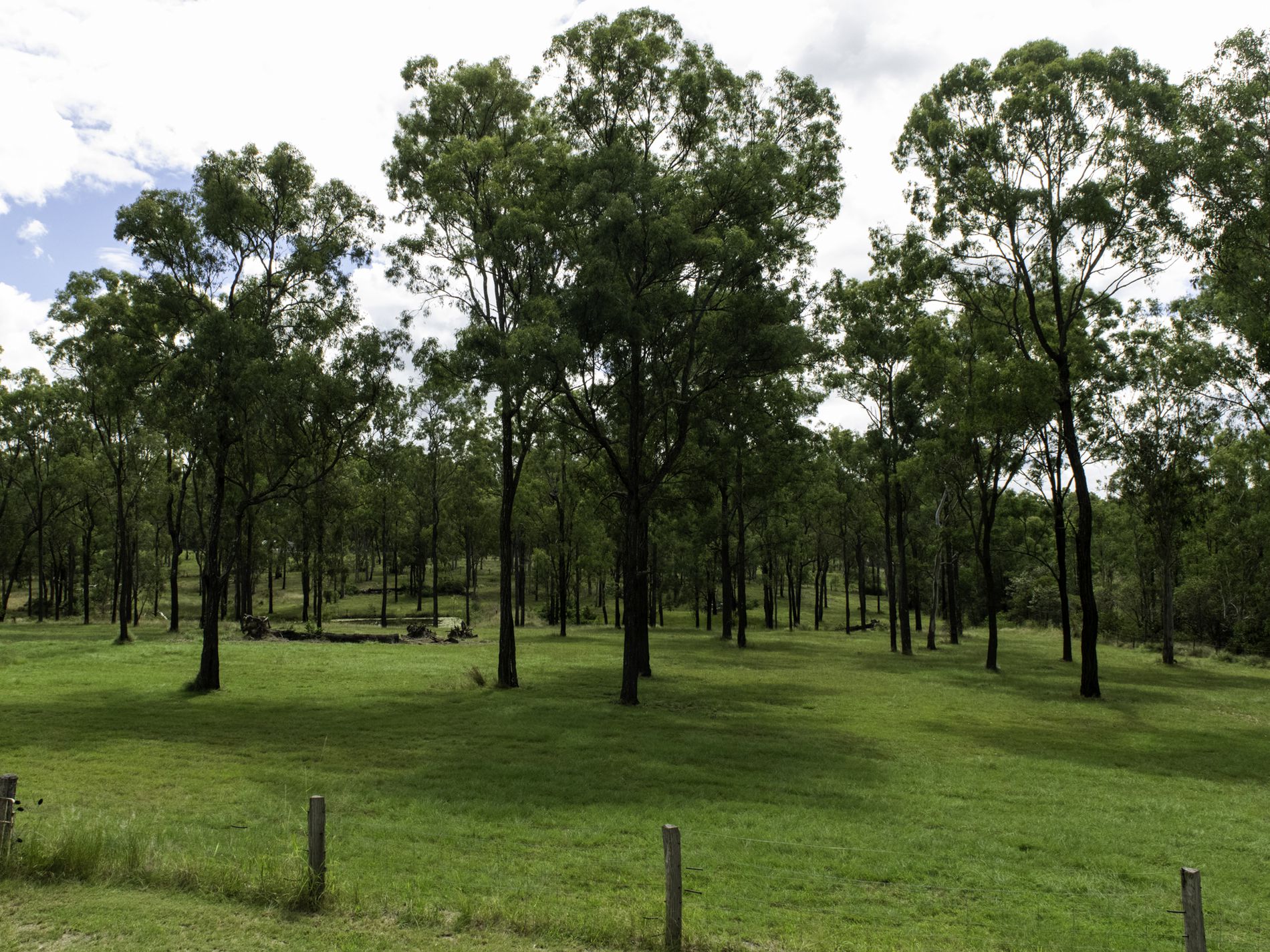 198 Burkes Road, Booie