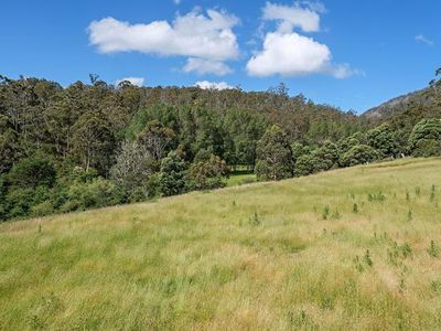255 Turn Creek Road, Grove