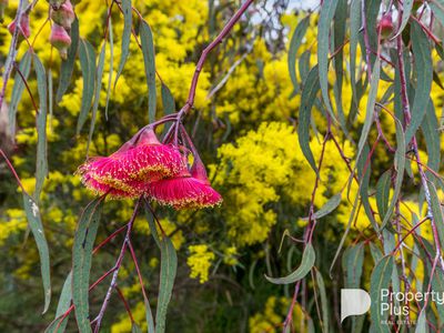 403 Ottreys Scrub Road, Walmer