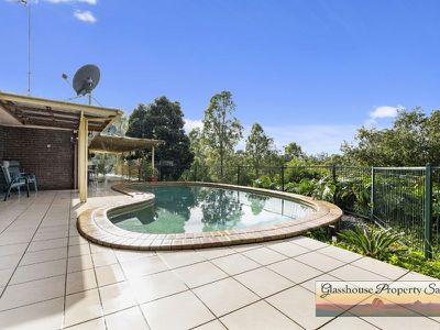 169 Judds Road, Glass House Mountains