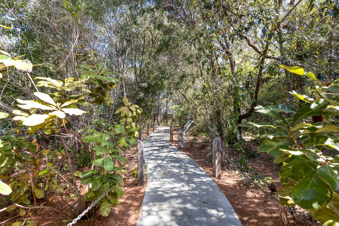 244 / 8 Starling Street, Buderim