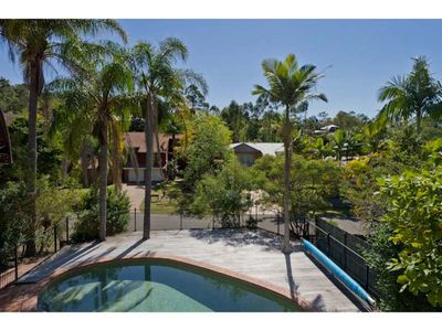 16 Caladenia Street, Indooroopilly