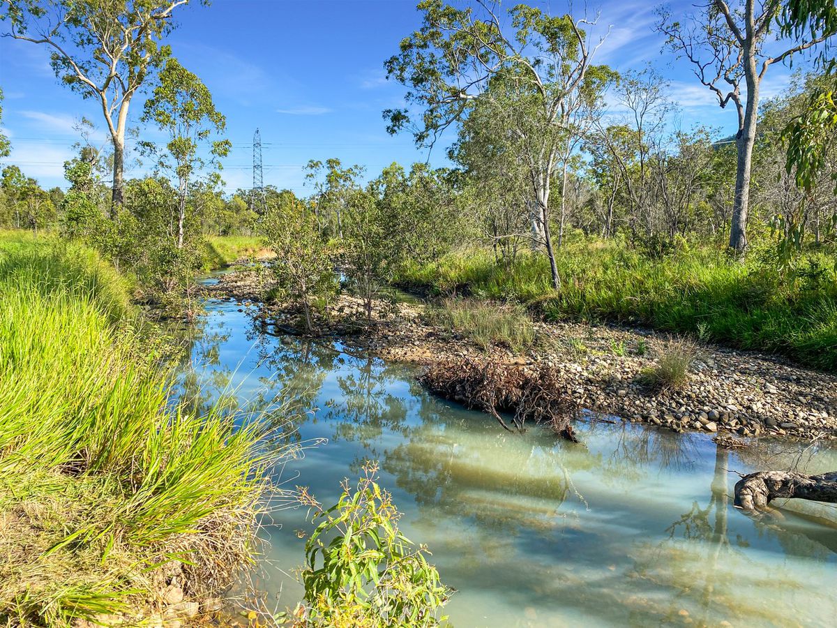 Lot 19 Lemontree Drive, Mutchilba