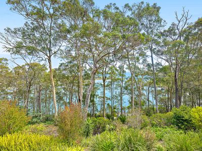 68 Williamson Drive, North Narooma