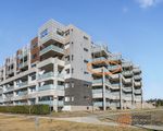 132 / 41 Philip Hodgins Street, Wright