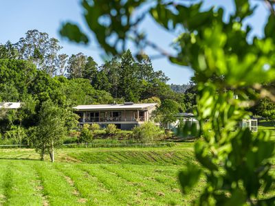 169 Gungas Road, Nimbin