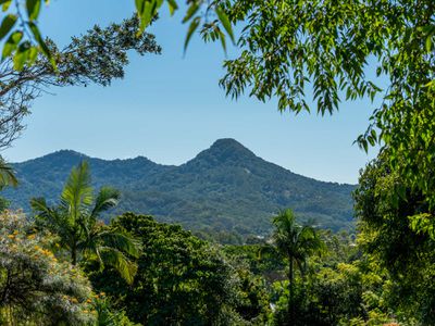 18 Gardenia Court, Mullumbimby