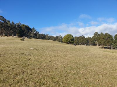 270 Woolleys Road, Lonnavale