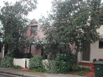 2 / 2 Ewenton Street, Balmain