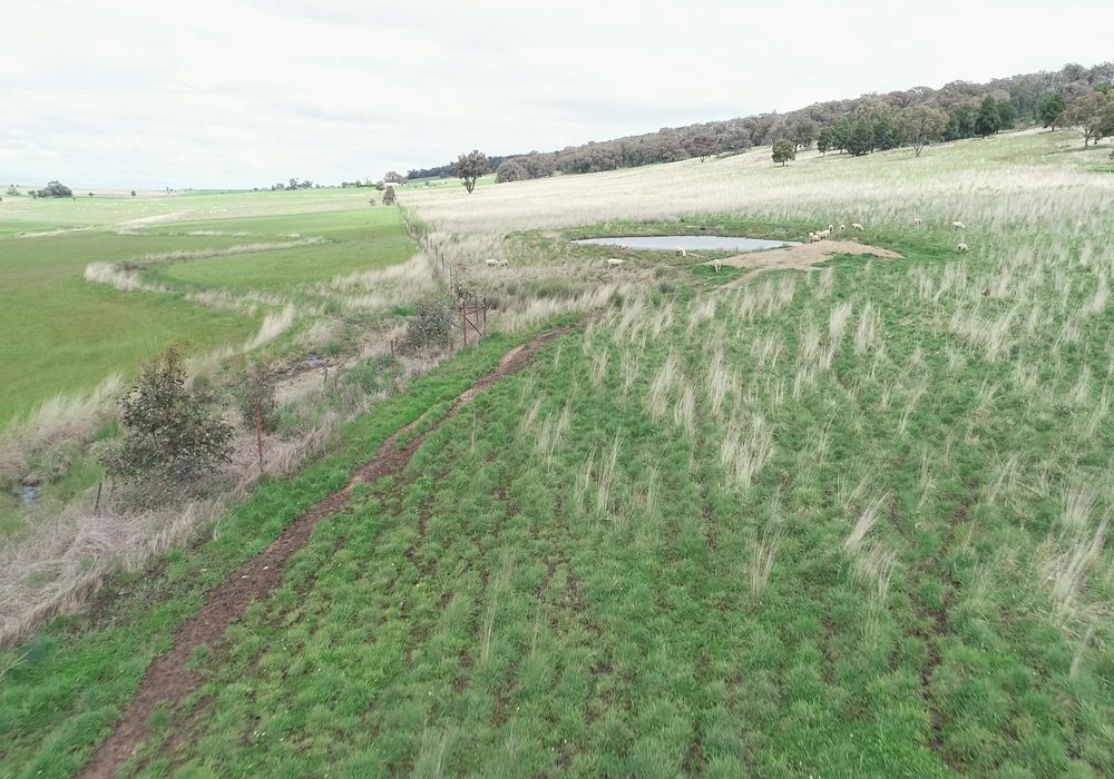 823 Peabody Road, Molong