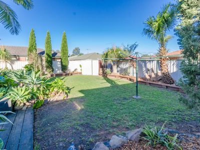 17 Harewood Place, Cecil Hills