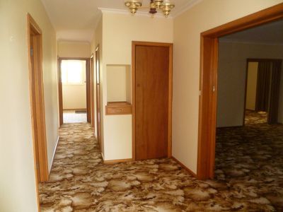 17 Upper Skene Street, Newtown