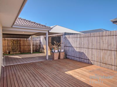100 Mornington Crescent, Wandi