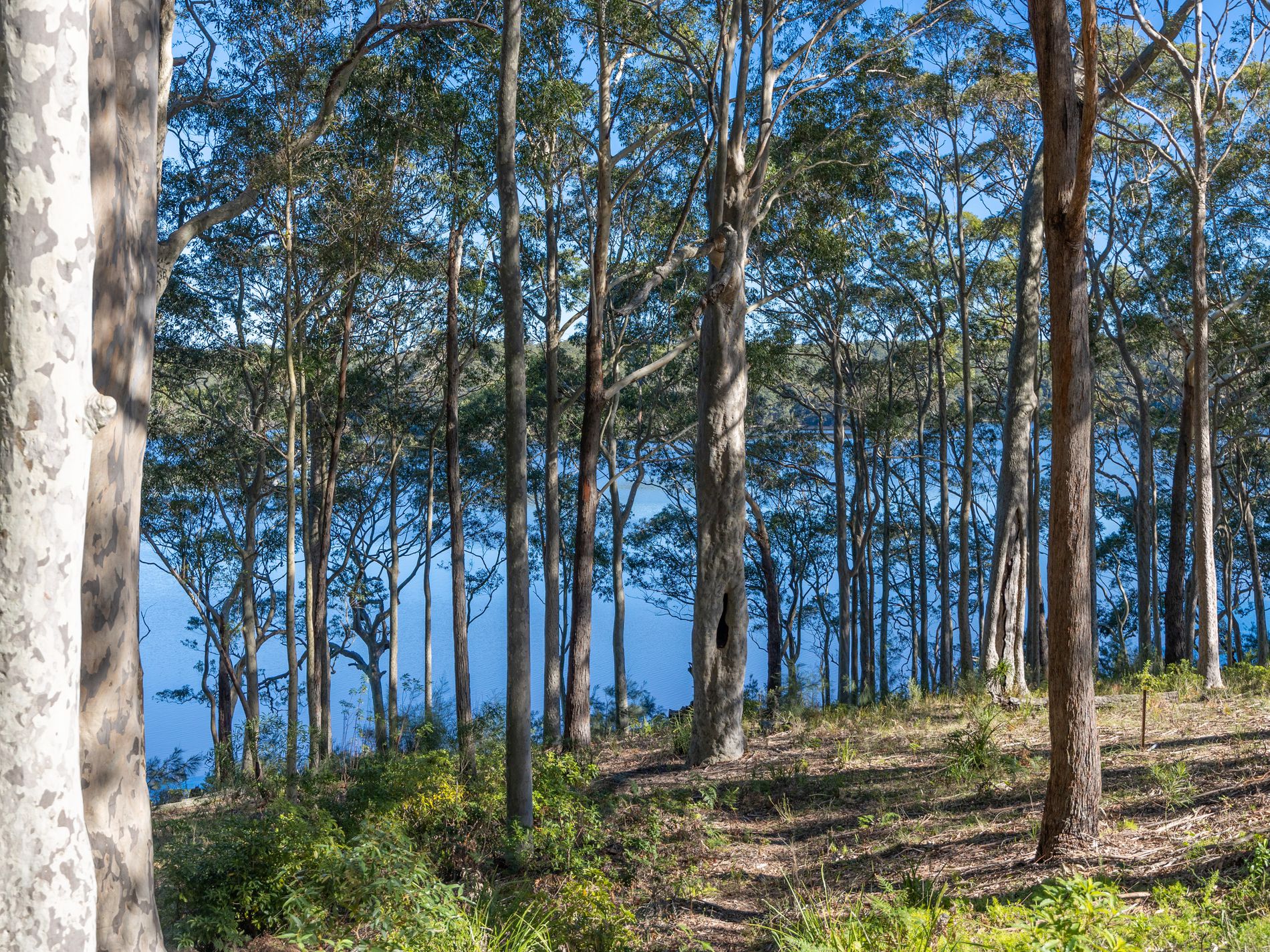 8 William Street, Kings Point