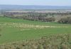 198 Barragan Road, Cargo