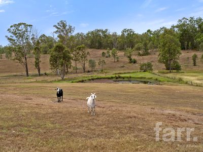 39 Bundamba Court, Mundoolun