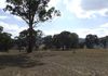 Lower Lewis Ponds, Orange