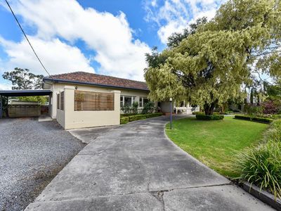 12 Gwendoline Street, Mount Gambier