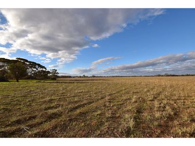 190 Battans Road, Sedan