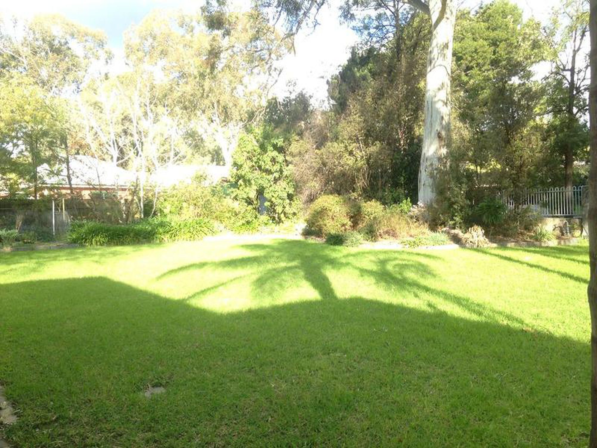 10 Rosedale Avenue, Wattle Park