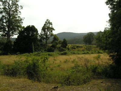 Eld Road, Lonnavale