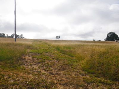 Kingaroy