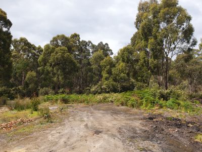 Lot 2 Huon Highway, Surges Bay