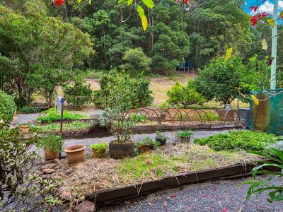 143 Parmenter Road, Coffee Camp