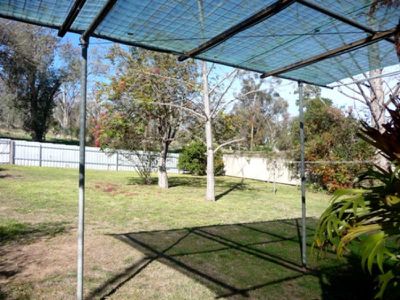 195 Walsh Street, Albury
