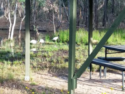 1097  Heathcote North Costerfield Road, Costerfield