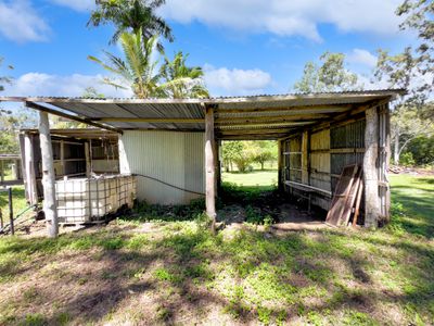 345 Midge Point Road, Bloomsbury