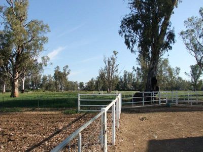 306 Orange Grove Road, Gunnedah