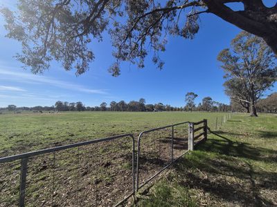 Lot 66 Arcadia Two Chain Road, Miepoll