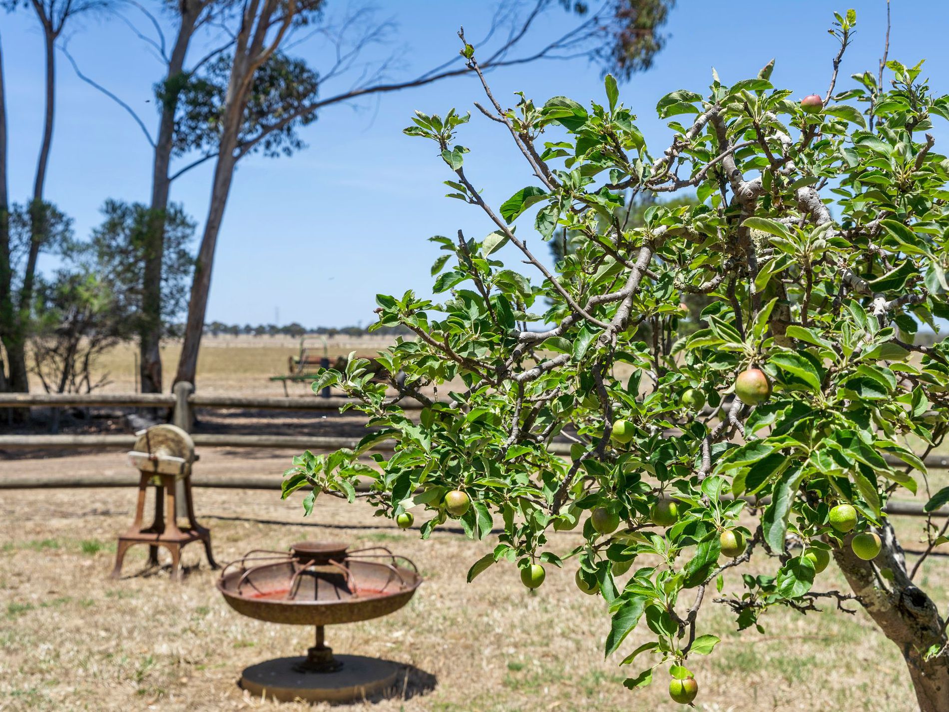 498 Four Tree Road, Lismore