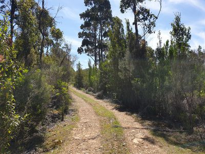 Lots 1 & 2 Esperance River Road, Raminea