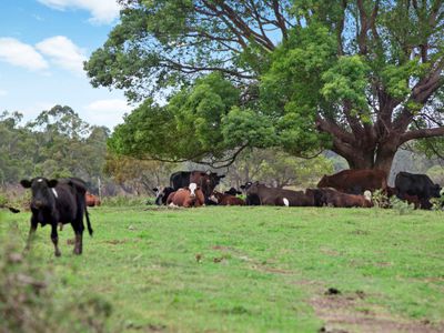 159 Station Road, Bethania