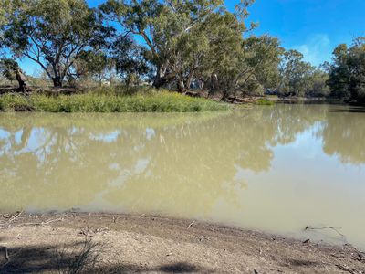 Lot 1 Murrabit West Road, Benjeroop