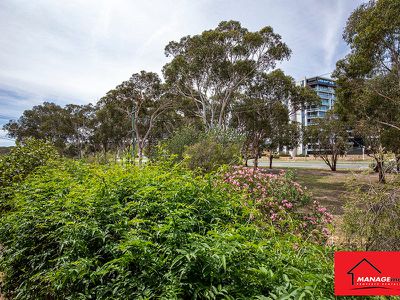 137 Theodore Street, Curtin