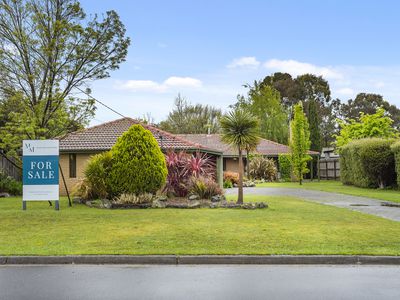 16 Gardiner Street, Gisborne