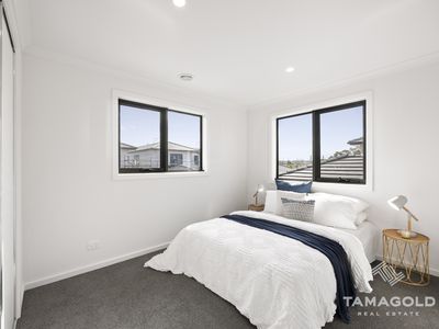 13 Loosestrife Street, Narre Warren