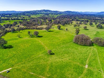 . Murray Valley Highway, Bonegilla