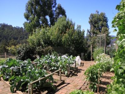 38 Chittys Road, Franklin