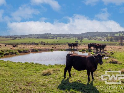 1067 Shannon Vale Road, Shannon Vale