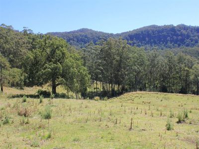 100 Nugents Creek Road, Kangaroo Valley