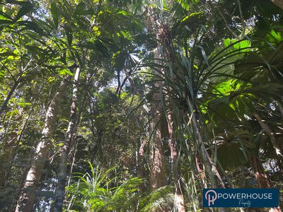 59 Greendale Court, Jubilee Heights