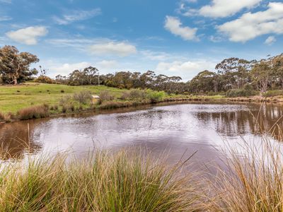 80 Back Kyneton Road, Heathcote