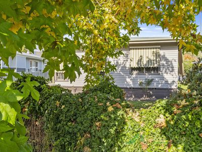 12 Simmonds Street, Mount Beauty