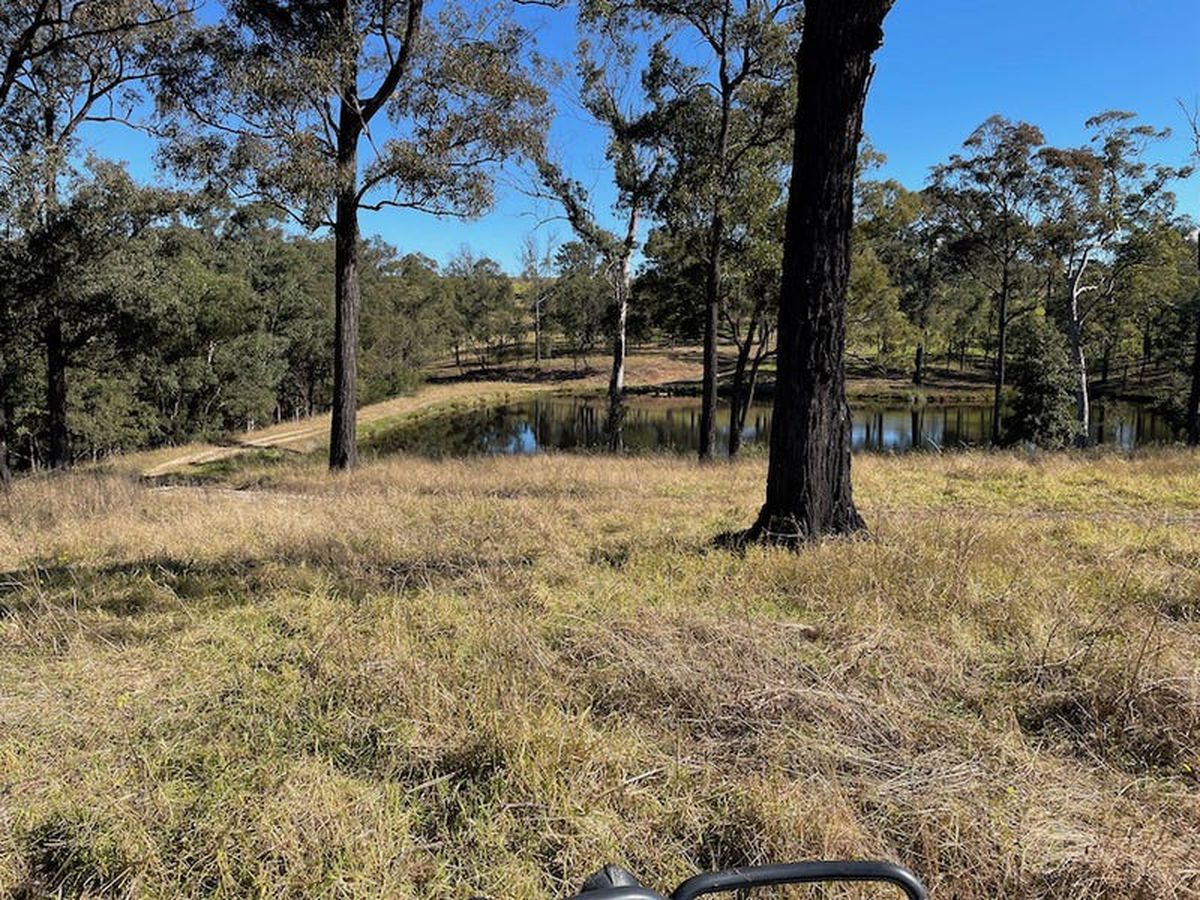 44 Eltons Road, Silverdale Patrick York